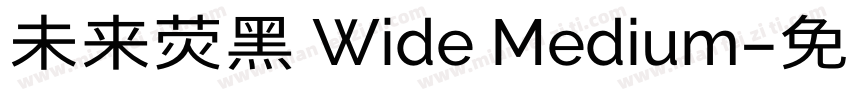 未来荧黑 Wide Medium字体转换